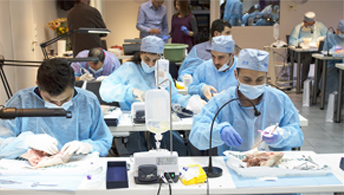 Perio-Prosthetics 15-Day Masterclass Curriculum
